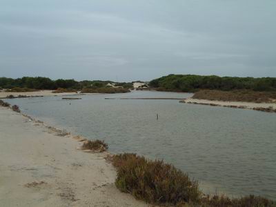 DSCF0074.JPG
